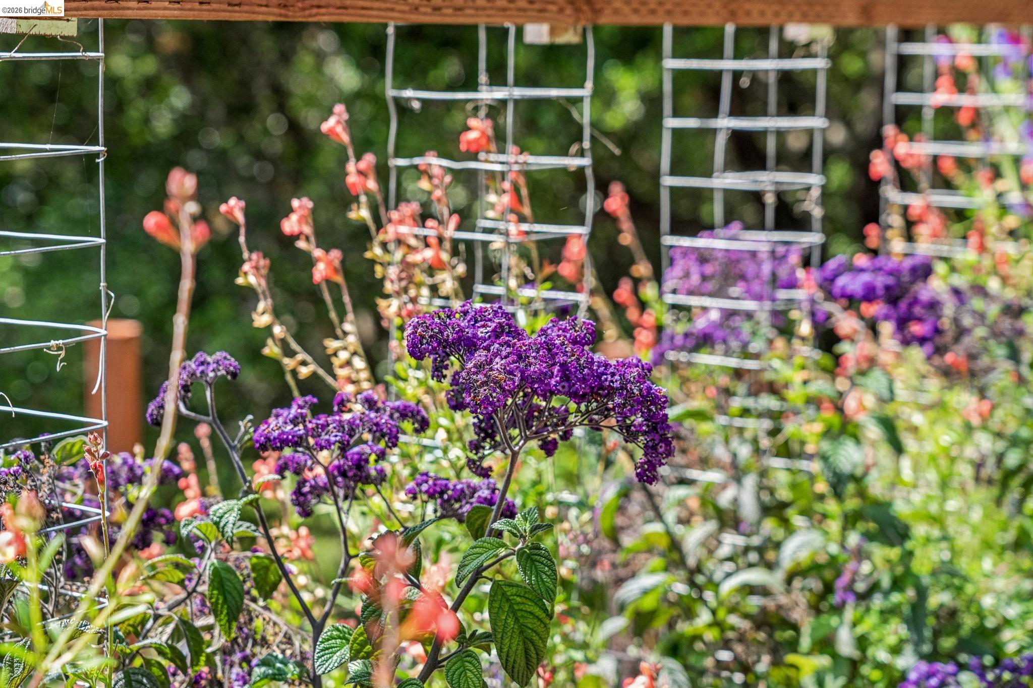 6383 Valley View Road Oakland, CA 94611 - Photo 70 of 99