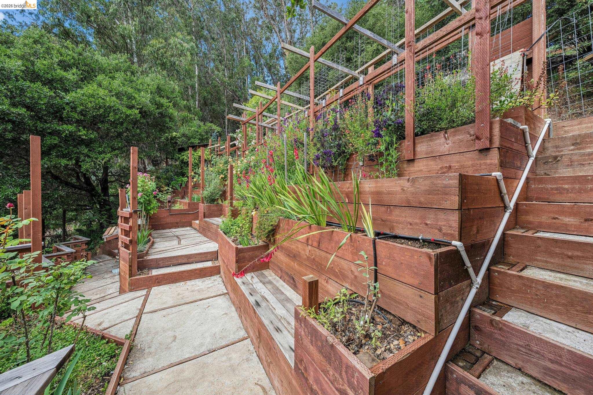 6383 Valley View Road Oakland, CA 94611 - Photo 75 of 99