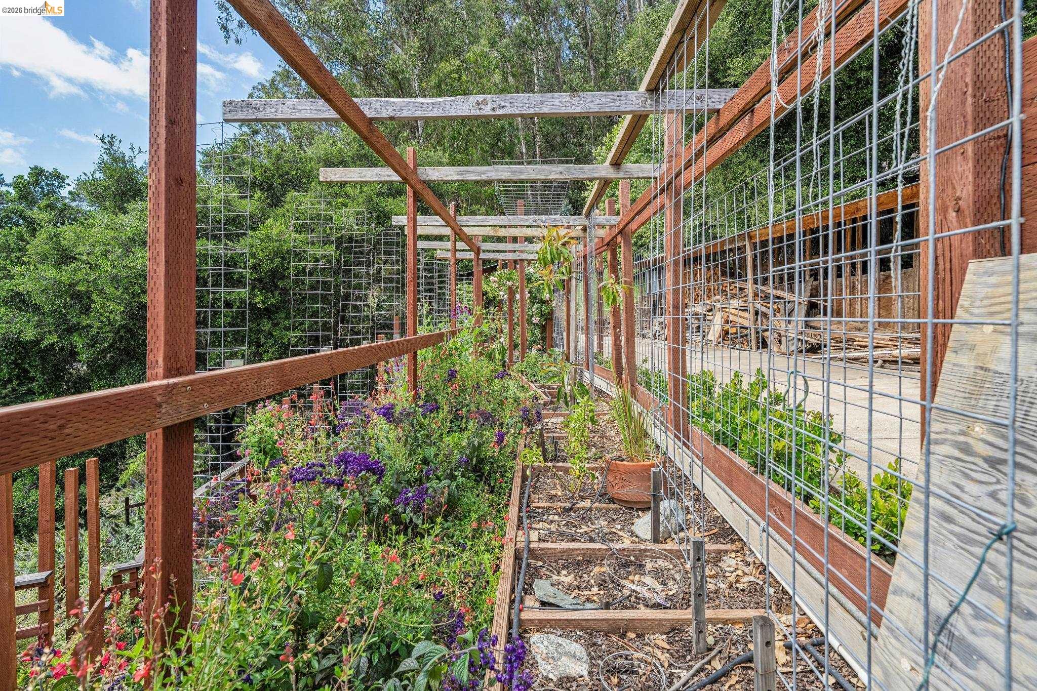 6383 Valley View Road Oakland, CA 94611 - Photo 77 of 99