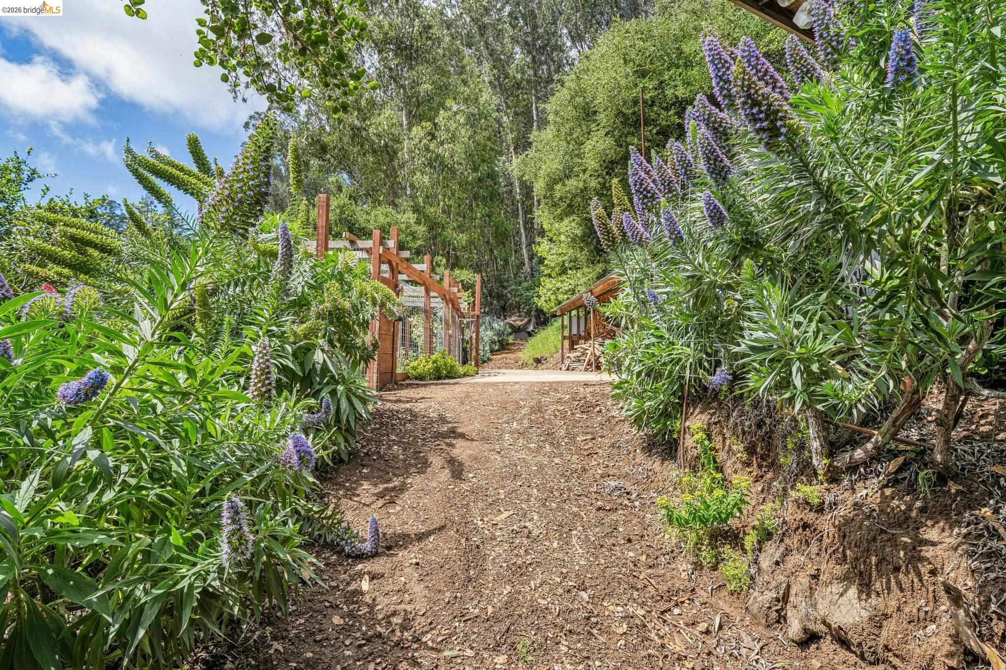 6383 Valley View Road Oakland, CA 94611 - Photo 84 of 99