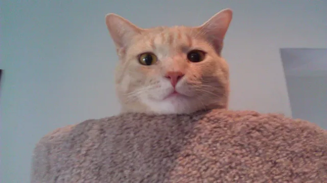 $1,621 | 124 Orange Street, Unit 200, Manchester, NH 03104