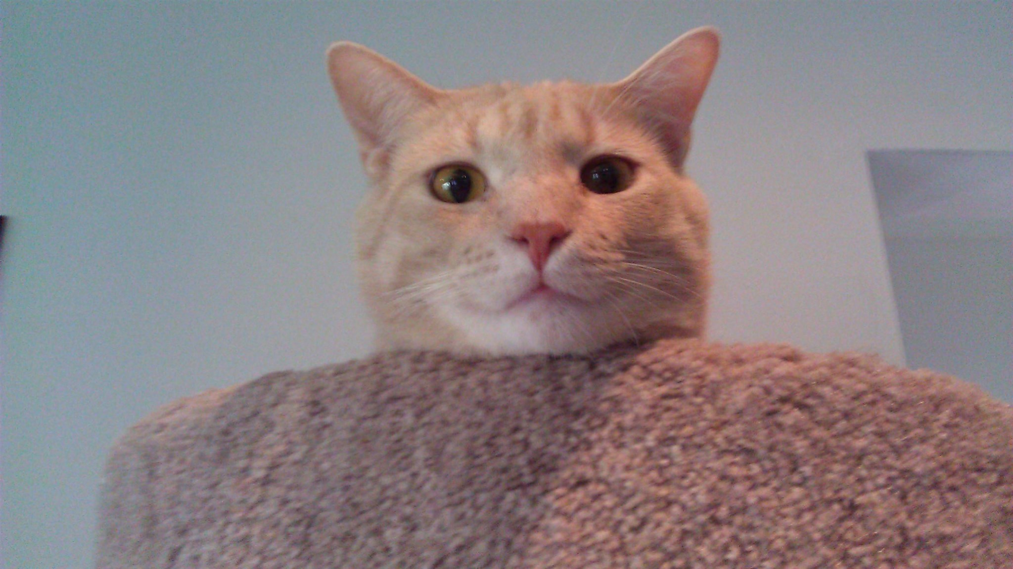 124 Orange Street, Unit 200 Manchester, NH 03104 - Photo 33 of 39