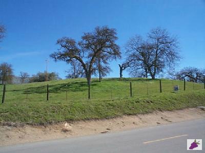 0 Sand Creek Road Squaw Valley, CA 93675 - Photo 1 of 1 Gallery Image 1