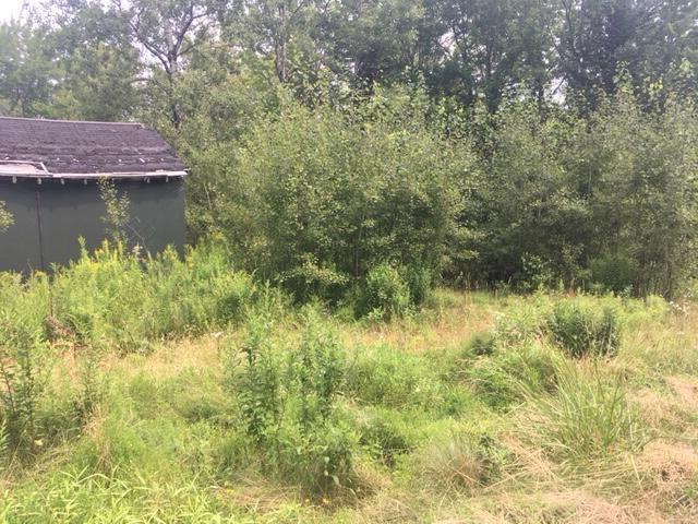147 Toddy Pond Road Surry, ME 04684 - Photo 2 of 3 IMG_4713