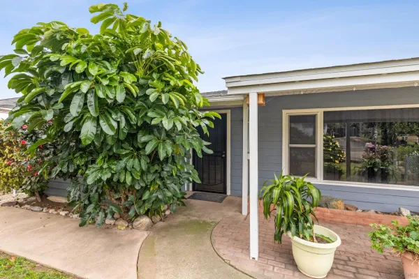 a view of a dining room with a potted plant