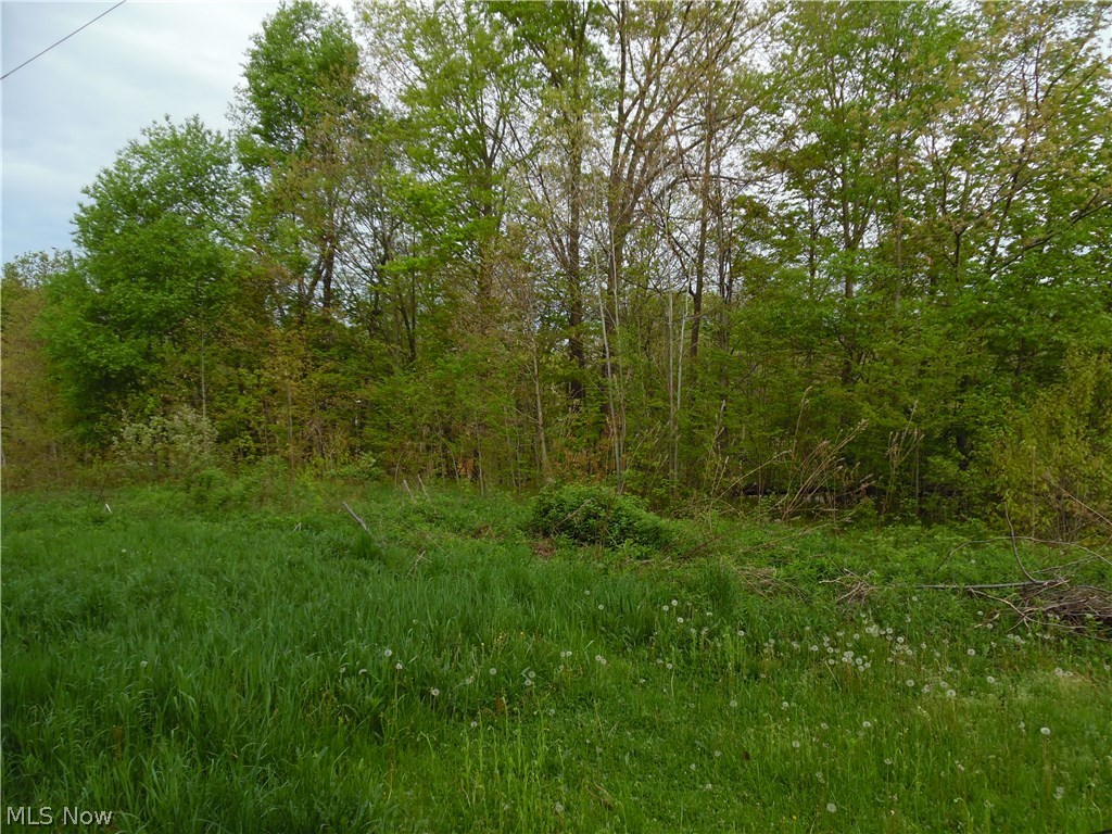 6399 Gibbs Road Andover, OH 44003 - Photo 2 of 2 Gallery Image 2