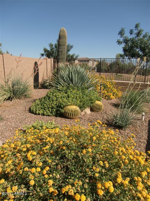 4911 West Maldonado Road Laveen, AZ 85339 - Photo 23 of 26 Backyard