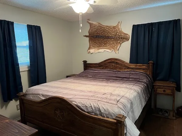 a view of backyard and tree