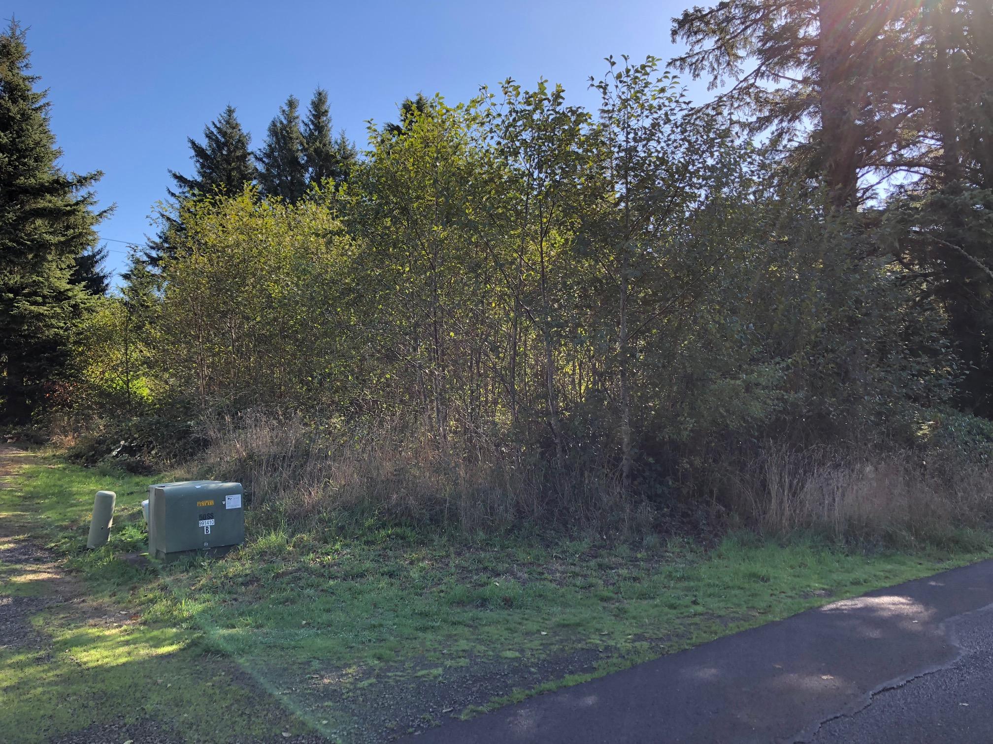 Lot 906 Old Netarts Road Tillamook, OR 97141 - Photo 3 of 5 Lot