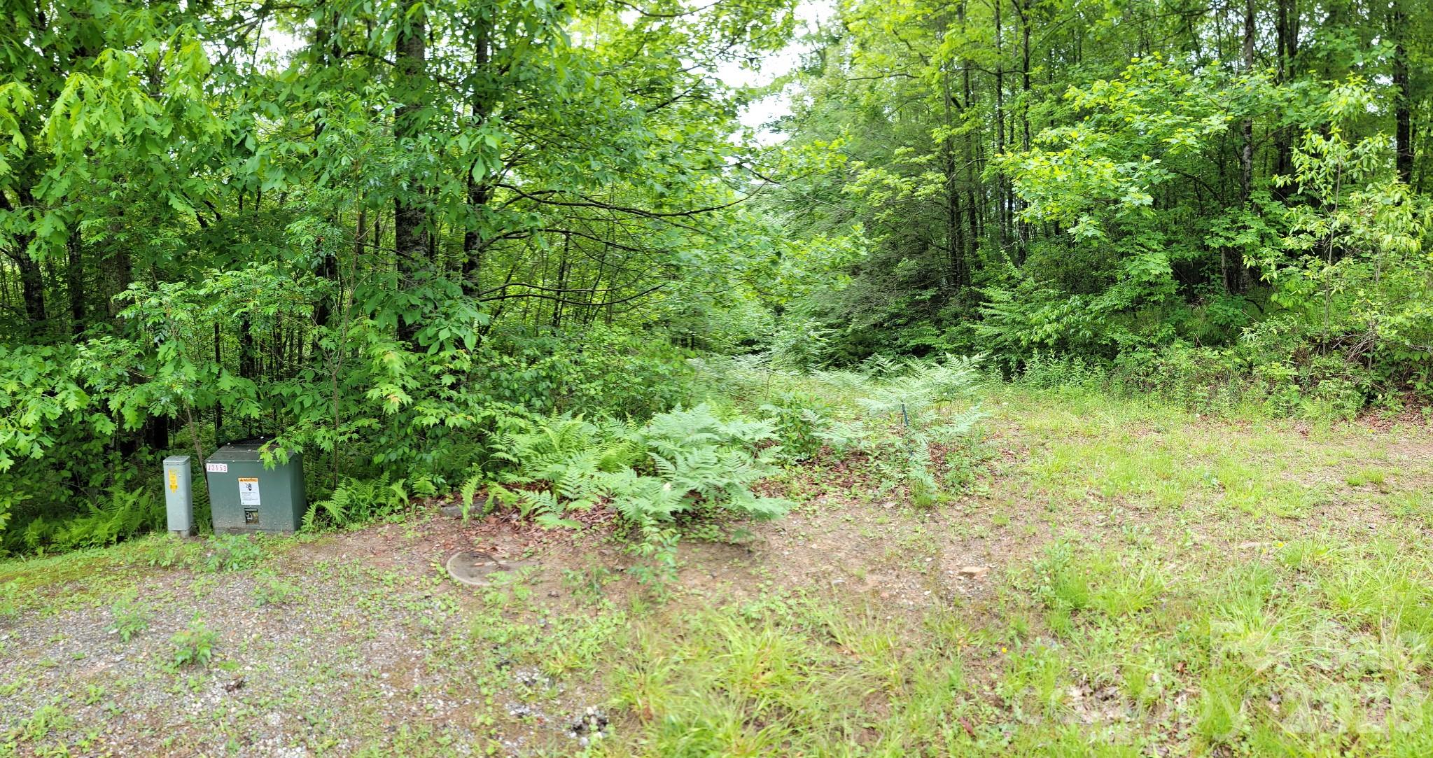 Tbd Sweetwater Rdg Road, Unit 1 Balsam Grove, NC 28708 - Photo 5 of 24 a view of a lush green space