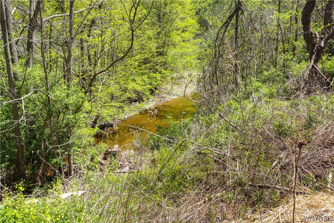 10835 New Oregon Road North Collins, NY 14111 - Photo 26 of 33