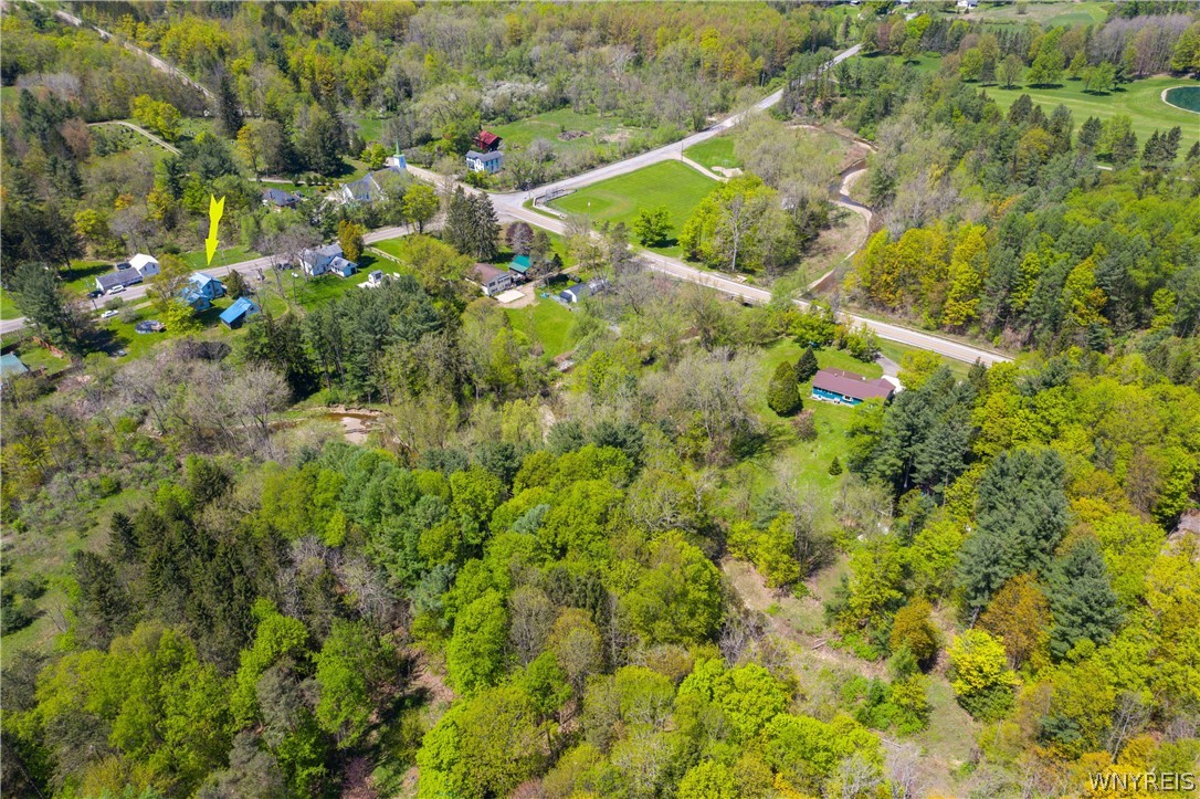 10835 New Oregon Road North Collins, NY 14111 - Photo 28 of 33