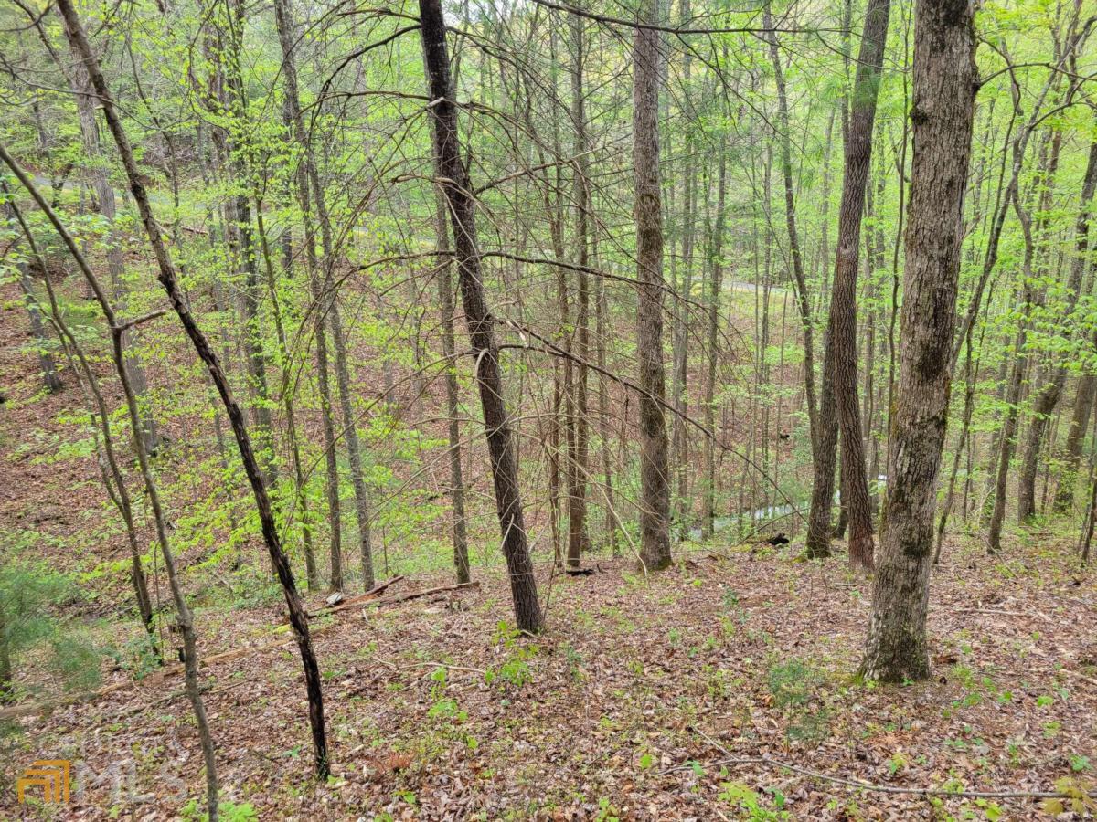 Lot27 Oak Ridge Road Ellijay, GA 30536 - Photo 11 of 12 a backyard of a house with lots of green space and chair