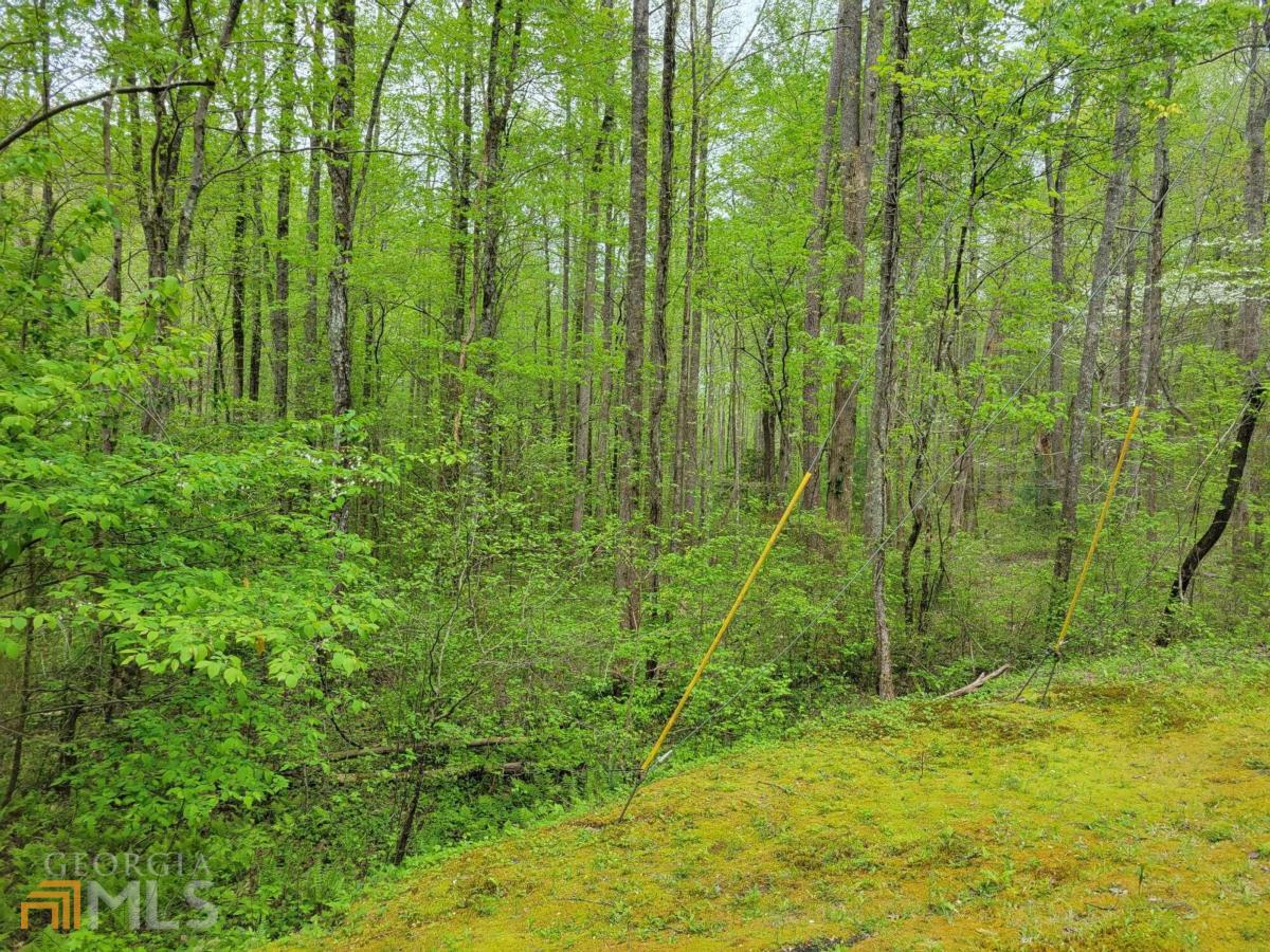 Lot27 Oak Ridge Road Ellijay, GA 30536 - Photo 4 of 12