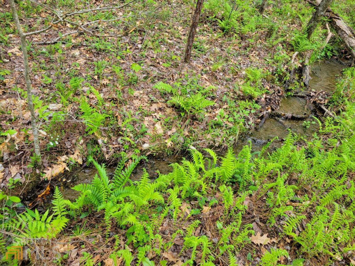 Lot27 Oak Ridge Road Ellijay, GA 30536 - Photo 5 of 12 a backyard of a house with lots of plants