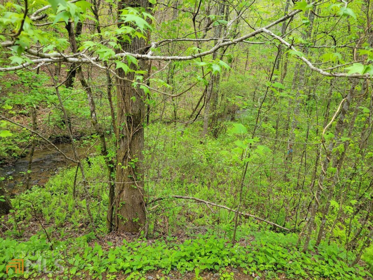 Lot27 Oak Ridge Road Ellijay, GA 30536 - Photo 6 of 12 a view of a garden