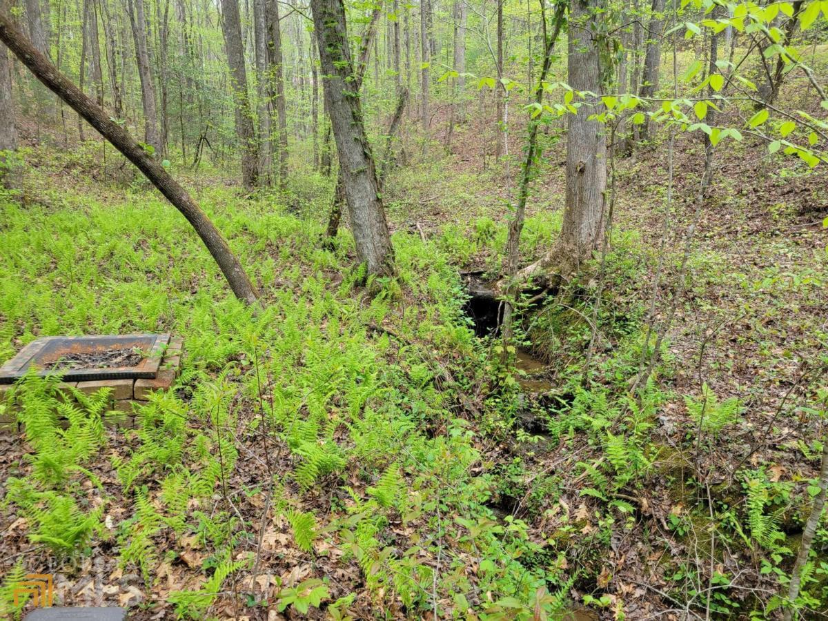 Lot27 Oak Ridge Road Ellijay, GA 30536 - Photo 7 of 12 a view of a garden