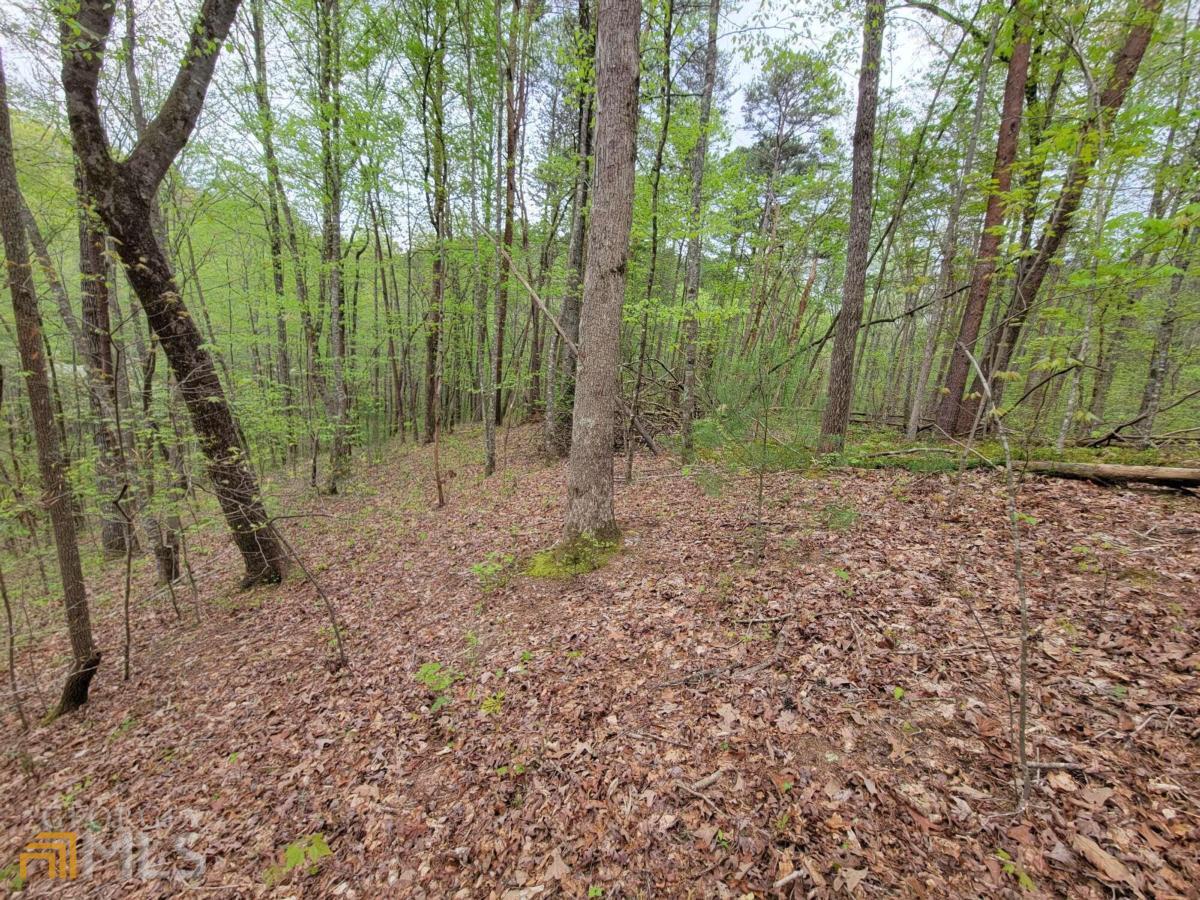 Lot27 Oak Ridge Road Ellijay, GA 30536 - Photo 10 of 12 a view of outdoor space and green space