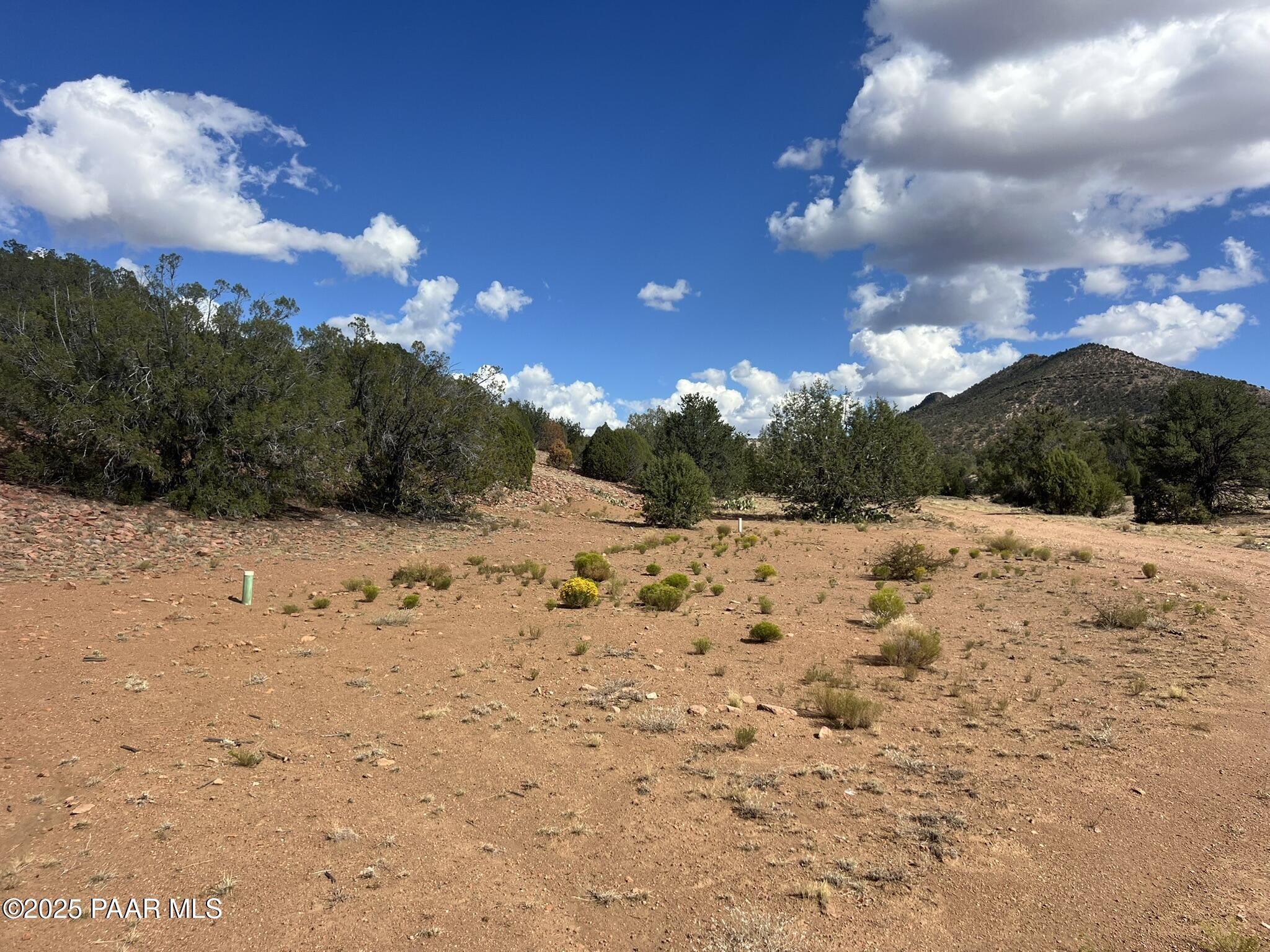 296 Quartz Hill Road Ash Fork, AZ 86320 - Photo 12 of 17 IMG_8736