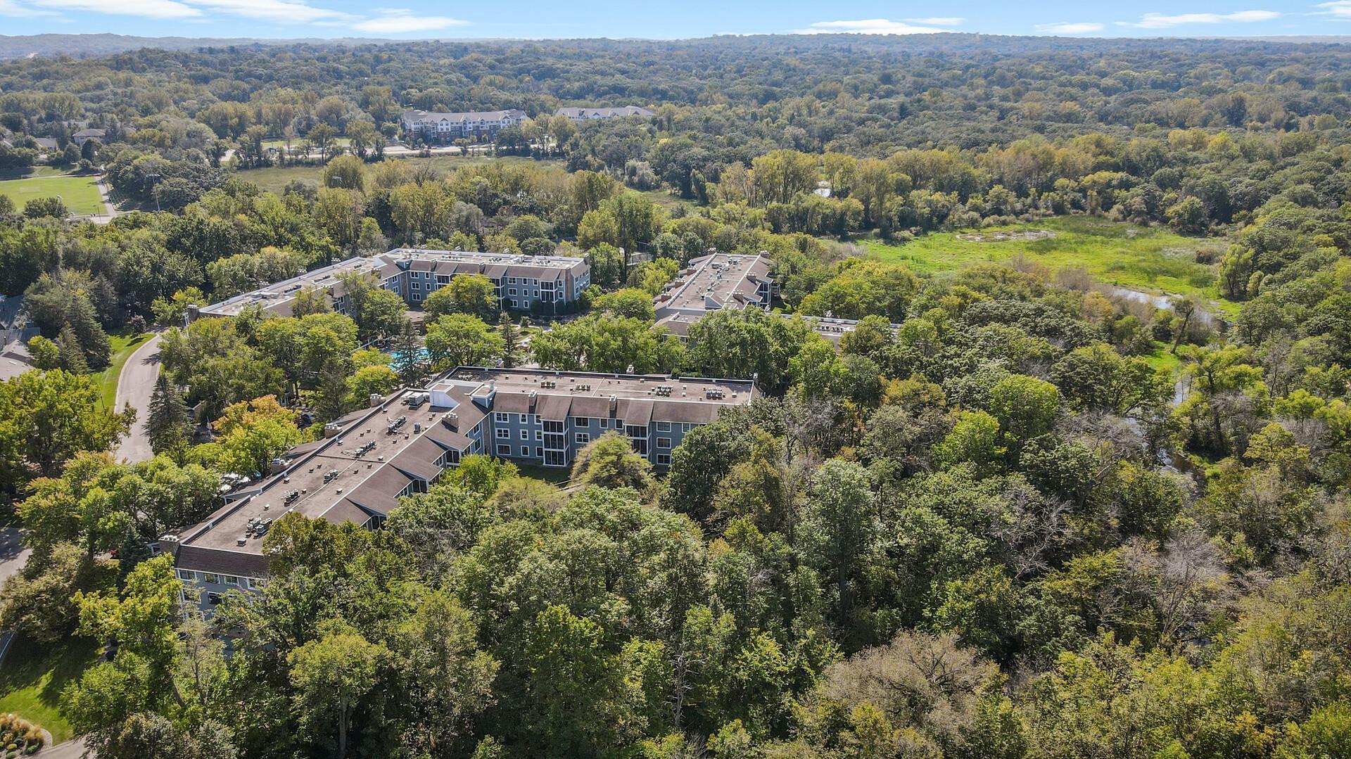 3020 St Albans Mill Road, Unit 303 Minnetonka, MN 55305 - Photo 29 of 43 Gallery Image 29