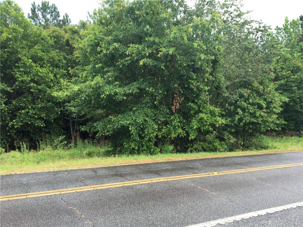 0 Holliday Dam Road Honea Path, SC 29654 - Photo 2 of 3