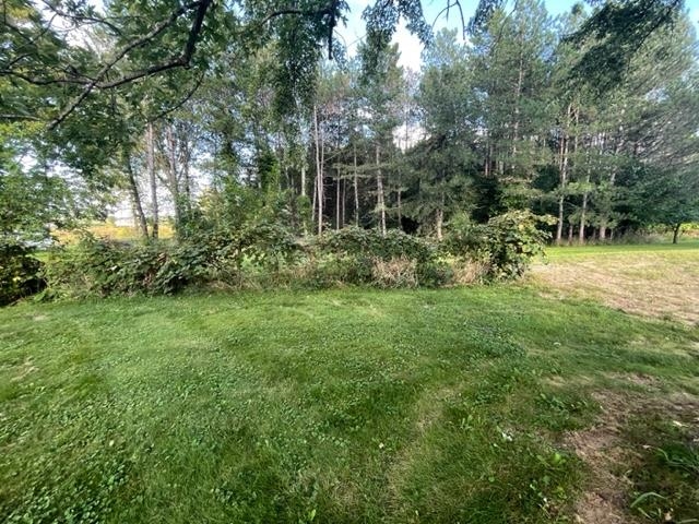 4416 Dillon Road Flushing, MI 48433 - Photo 4 of 5 50121212-3.JPG