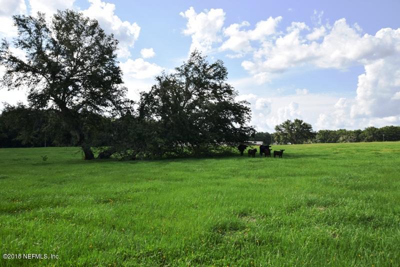 110 Jones Road Crescent City, FL 32112 - Photo 54 of 55 a view of a grassy field