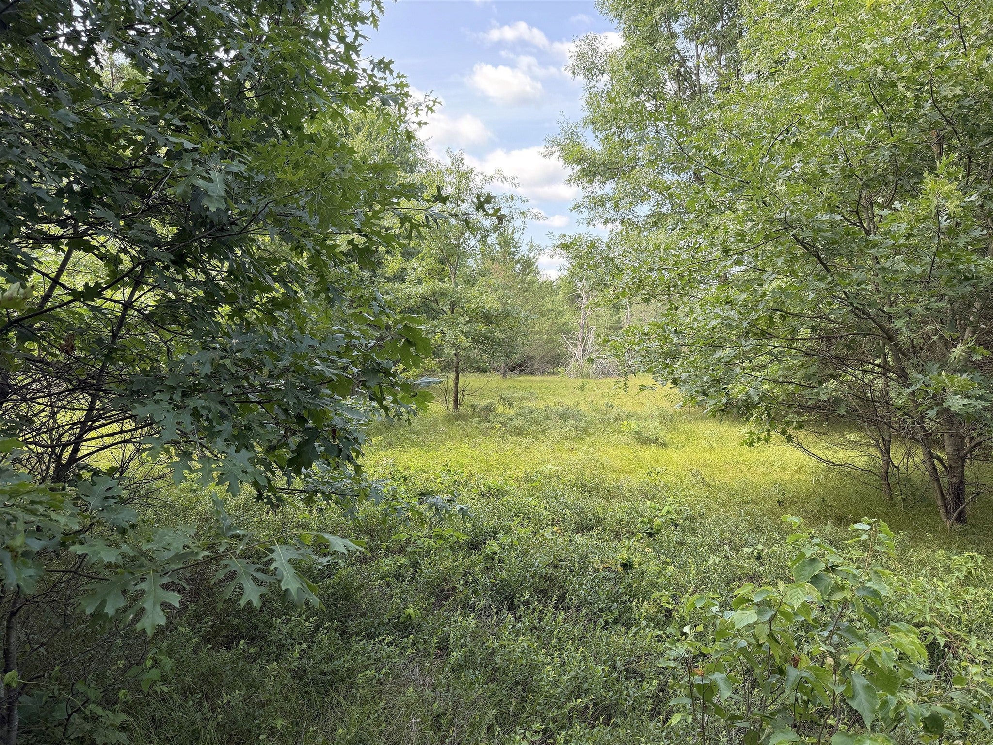 13160 Camp Road Fairchild, WI 54741 - Photo 11 of 32 Gallery Image 11