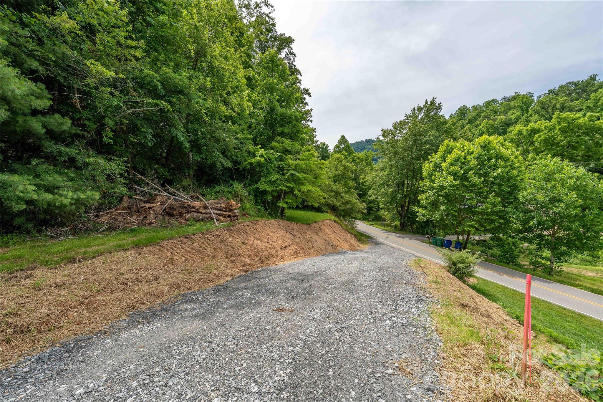 9999 Morgan Branch Road Weaverville, NC 28787 - Photo 14 of 24
