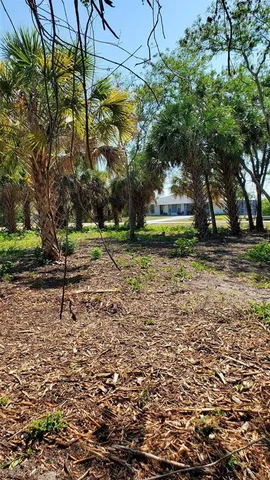 a backyard of a house with lots of green space