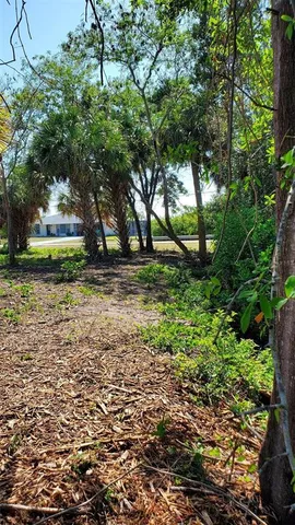 a view of a yard with plants and trees