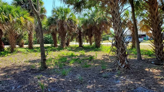 a view of outdoor space with trees