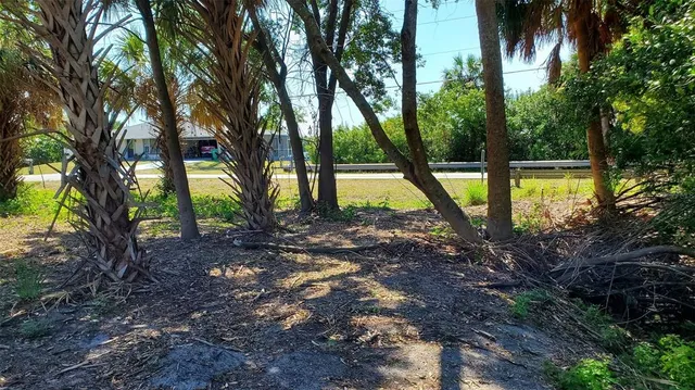 a view of outdoor space and trees