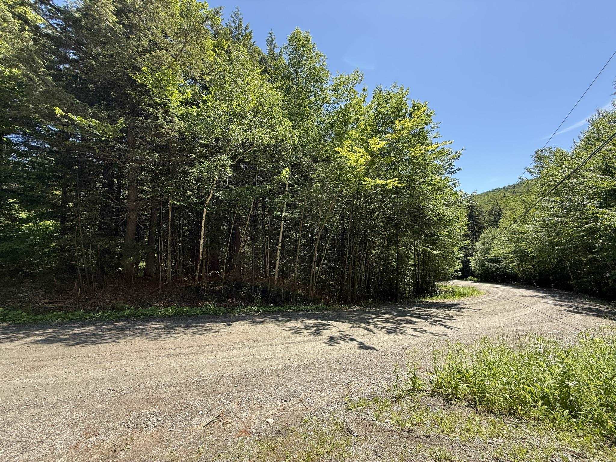 58 Boardman Loop Wardsboro, VT 05360 - Photo 1 of 11 Gallery Image 1
