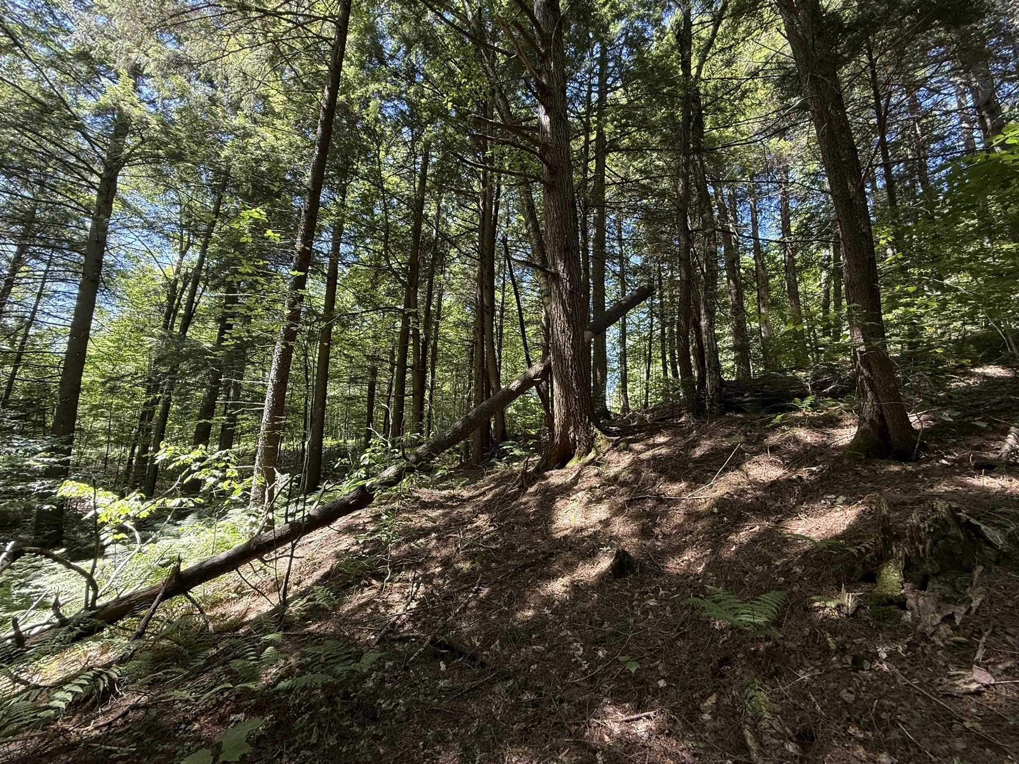 58 Boardman Loop Wardsboro, VT 05360 - Photo 6 of 11 Gallery Image 6
