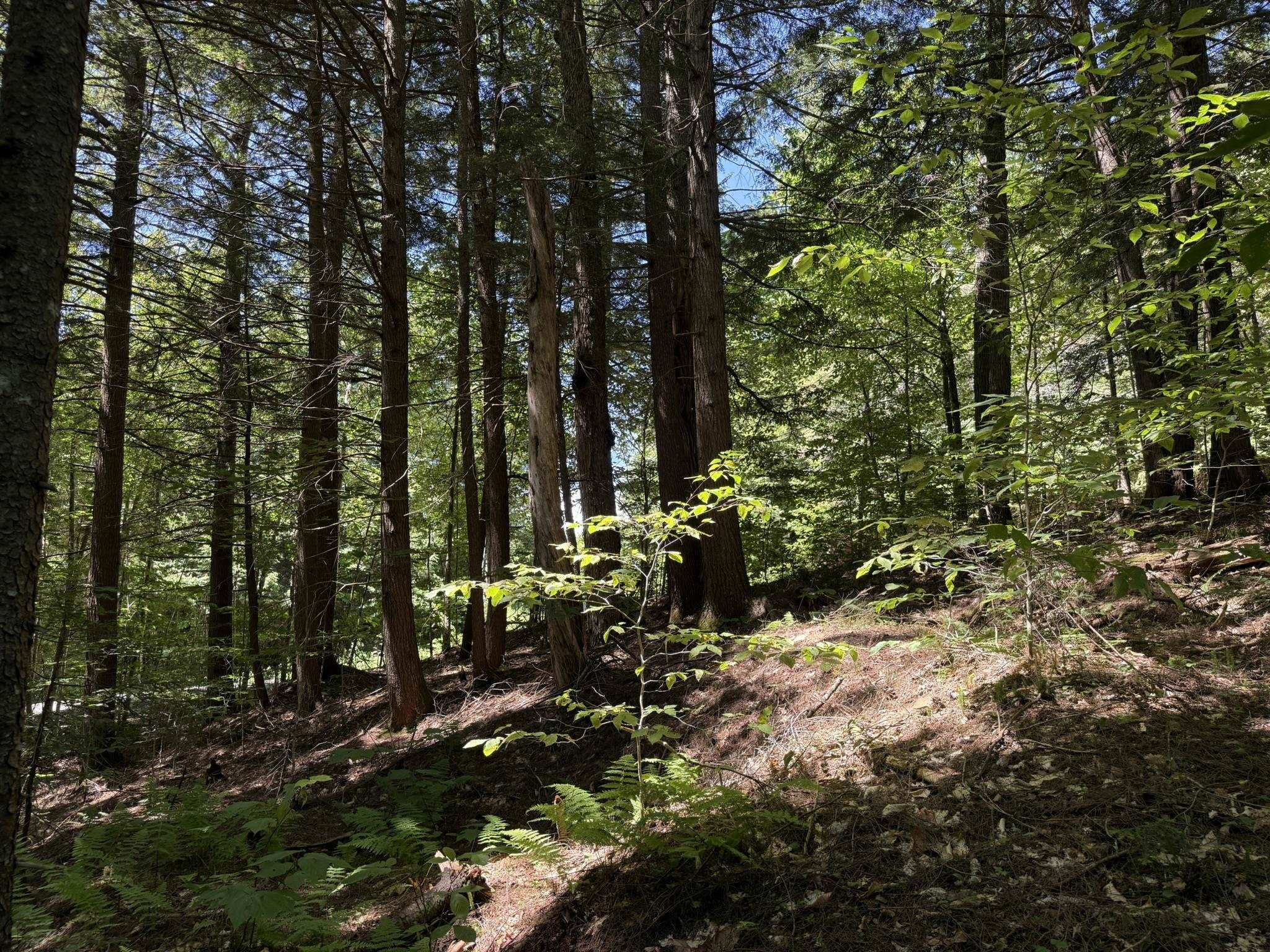 58 Boardman Loop Wardsboro, VT 05360 - Photo 7 of 11 Gallery Image 7