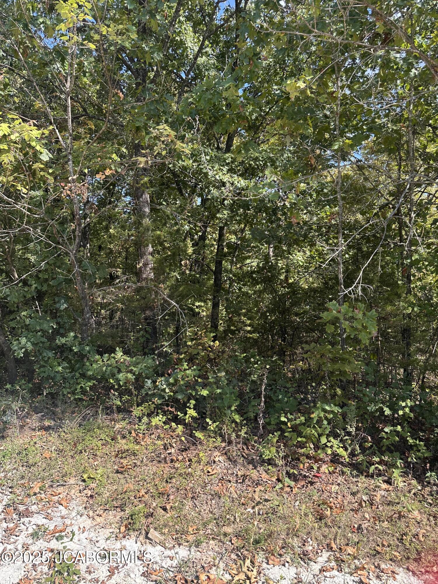 Lot 38 Jefferson Road Holts Summit, MO 65043 - Photo 2 of 2