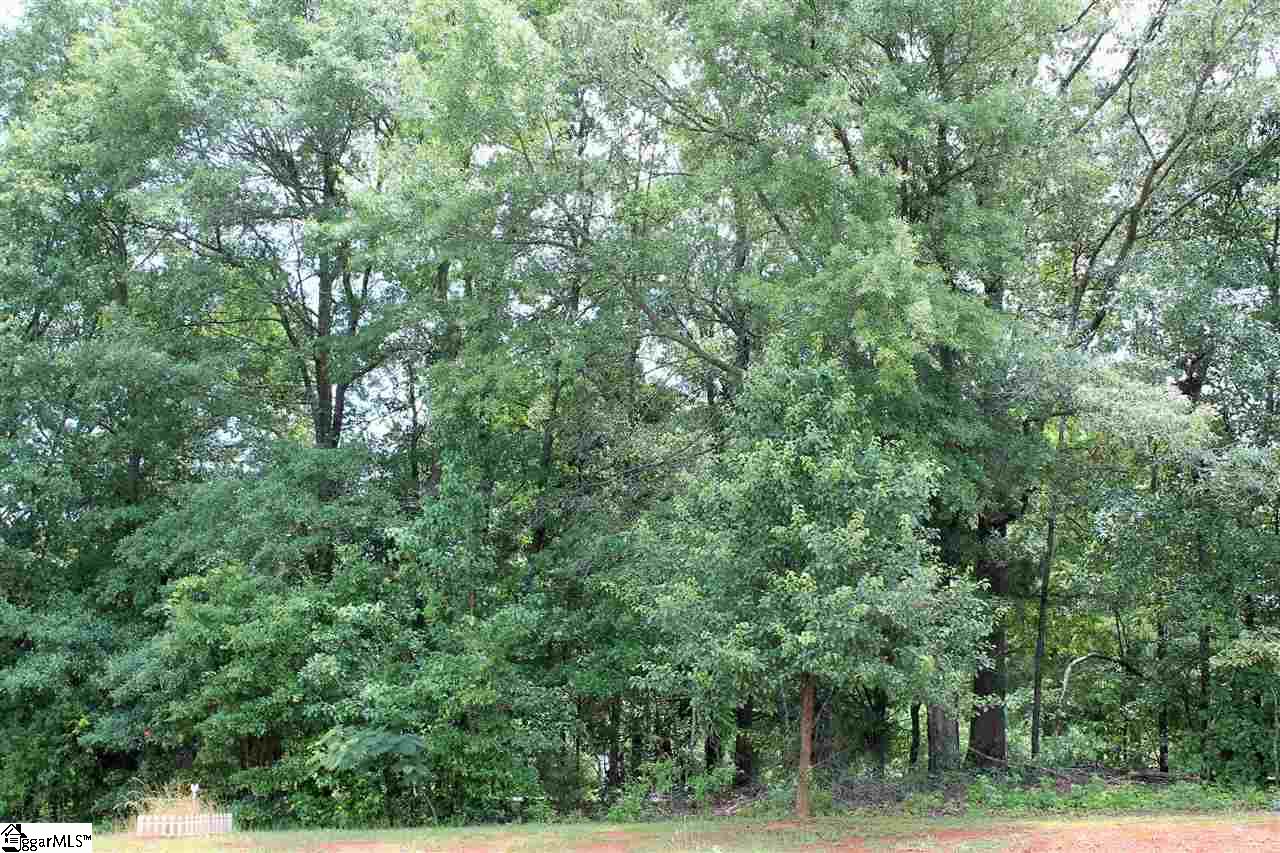 120 Maxton Way Pelzer, SC 29669 - Photo 28 of 28