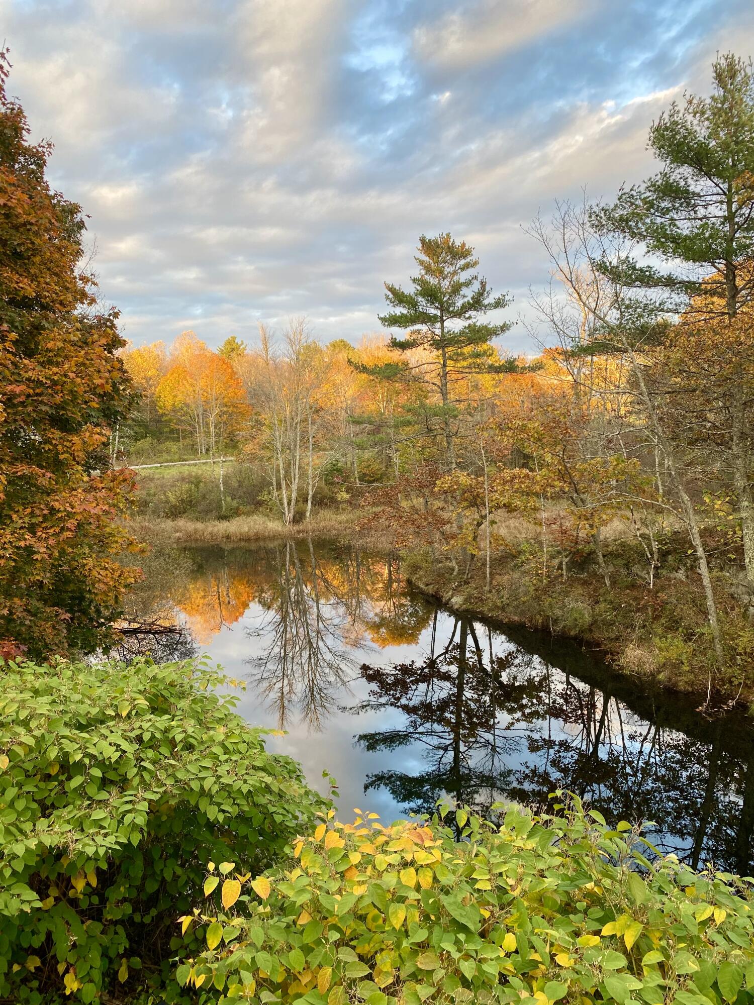 1212 Bristol Road Bristol, ME 04539 - Photo 56 of 58 IMG_1688