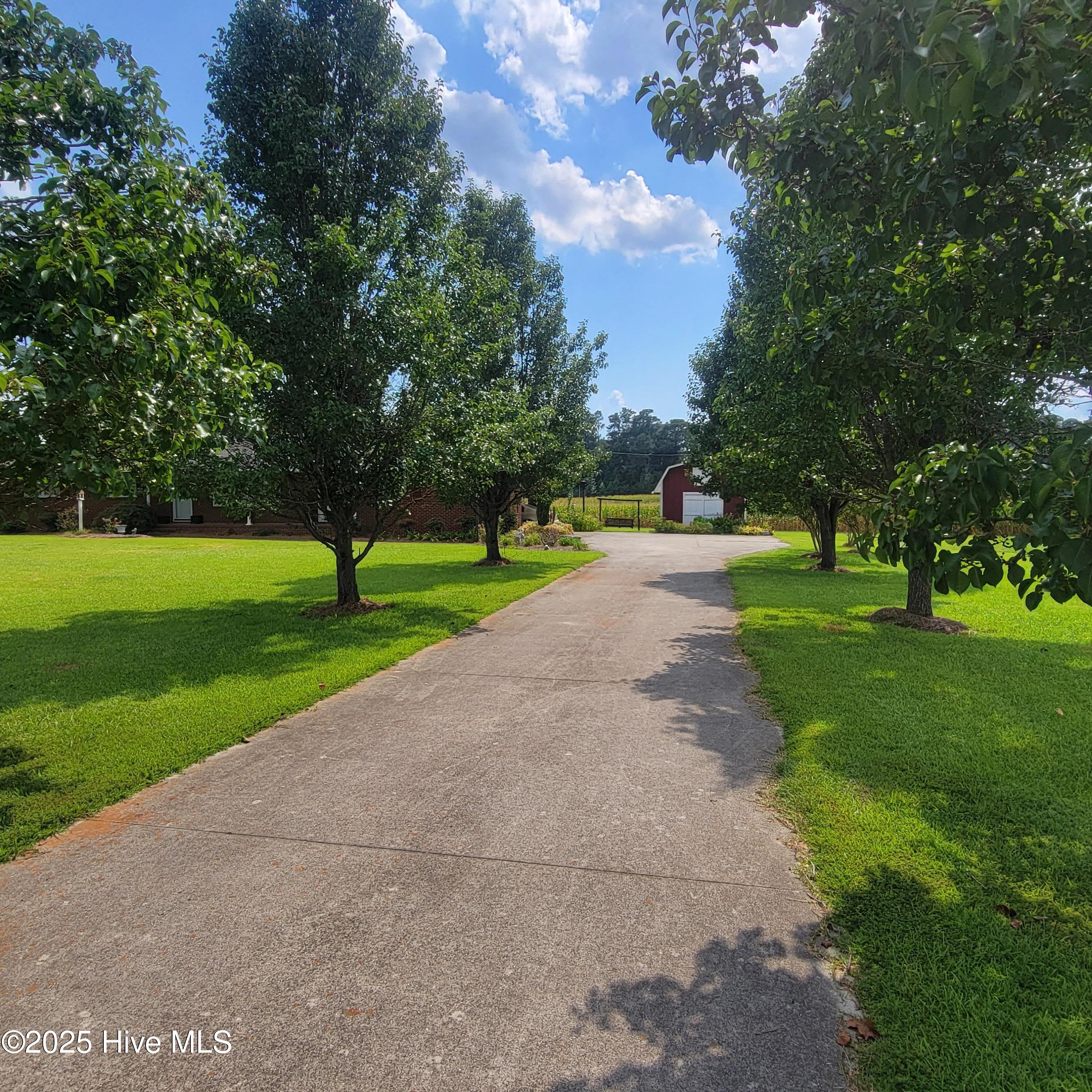 6185 Slocum Trail Atkinson, NC 28421 - Photo 5 of 45 Crete Myrtle Lined Concrete Drive