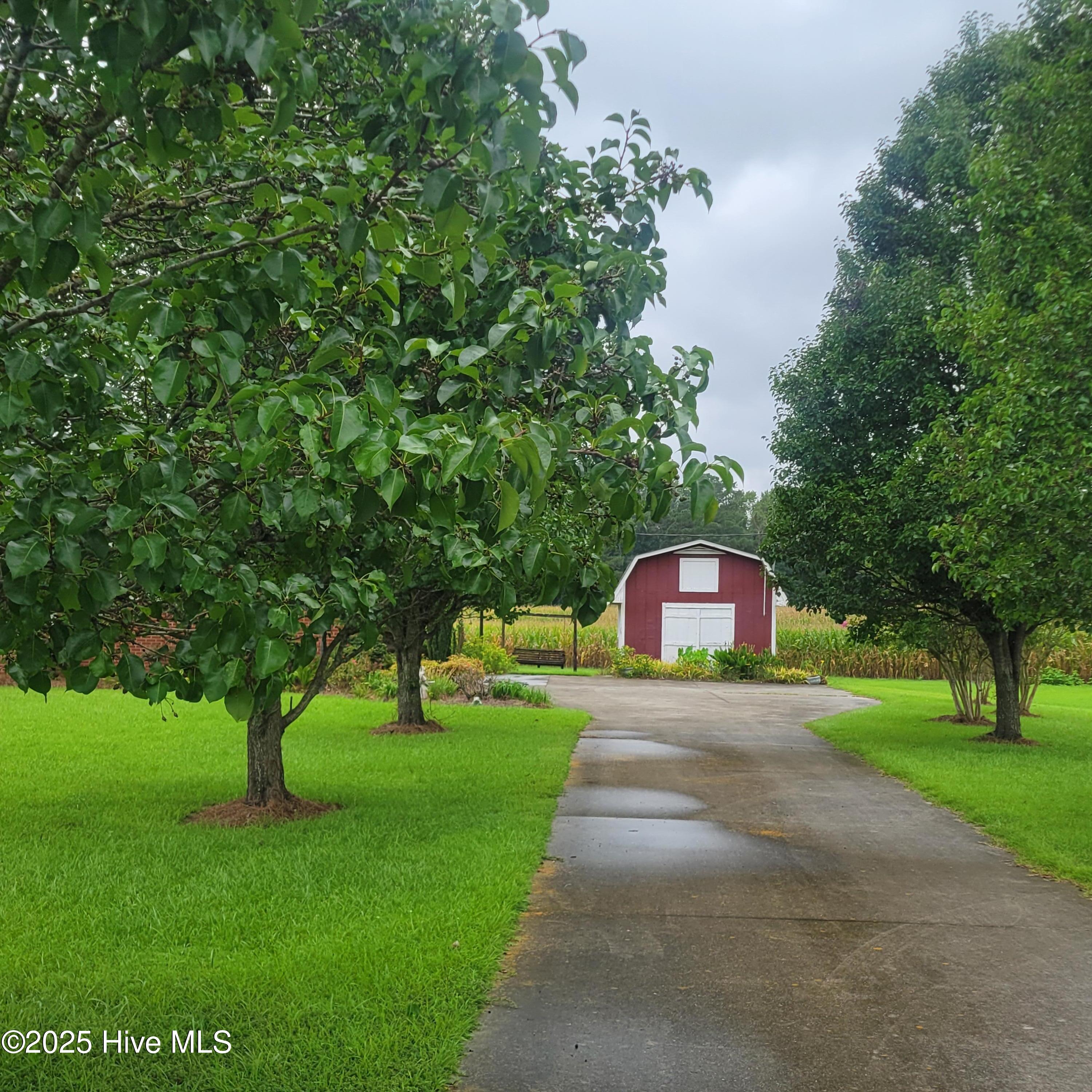 6185 Slocum Trail Atkinson, NC 28421 - Photo 6 of 45 20250802_133315