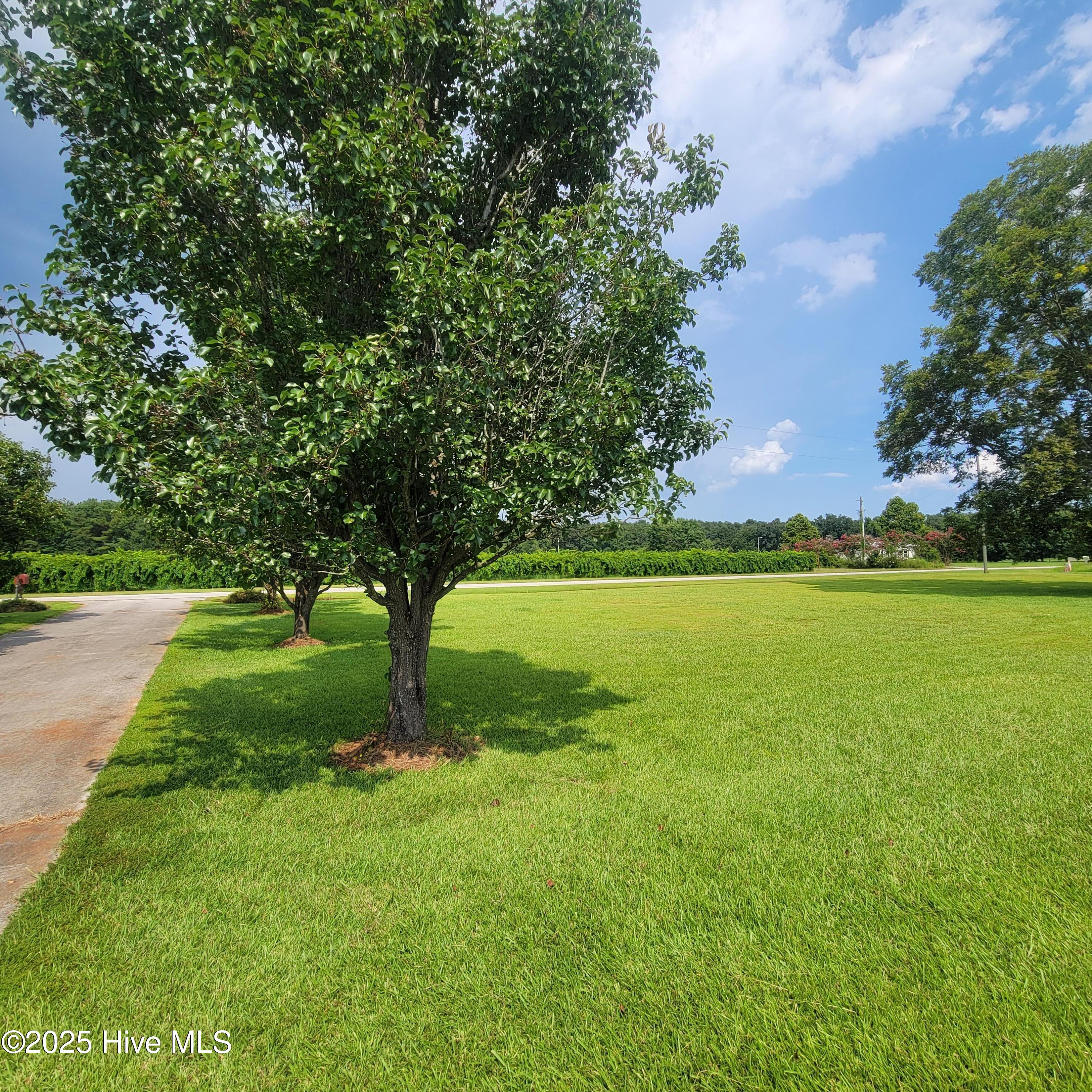 6185 Slocum Trail Atkinson, NC 28421 - Photo 7 of 45 20250727_154336