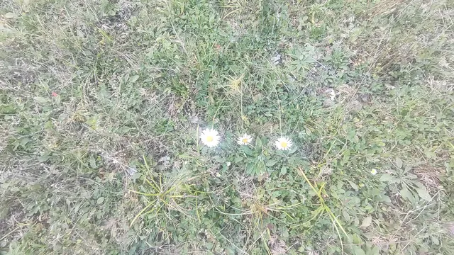 $165,000 | Tbd Baldwin Hill Road, Kents Hill, ME 04349