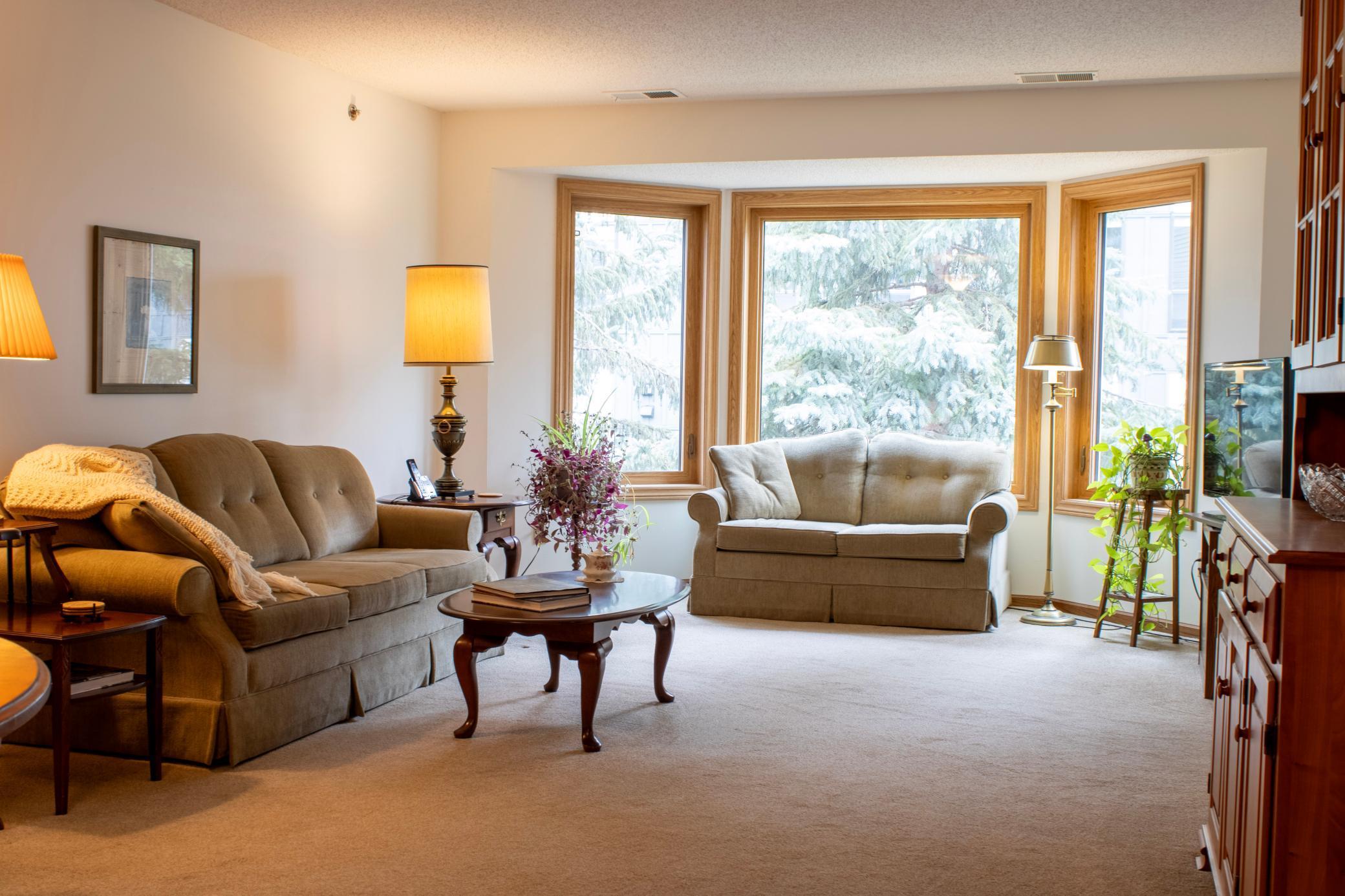 32 11th Avenue South, Unit 305 Hopkins, MN 55343 - Photo 3 of 27