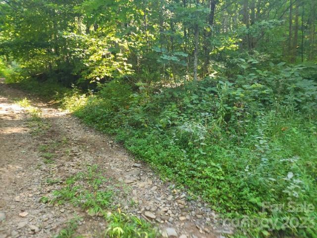 2397 Poplar Cove Road Clyde, NC 28721 - Photo 1 of 5 a view of a yard with a tree