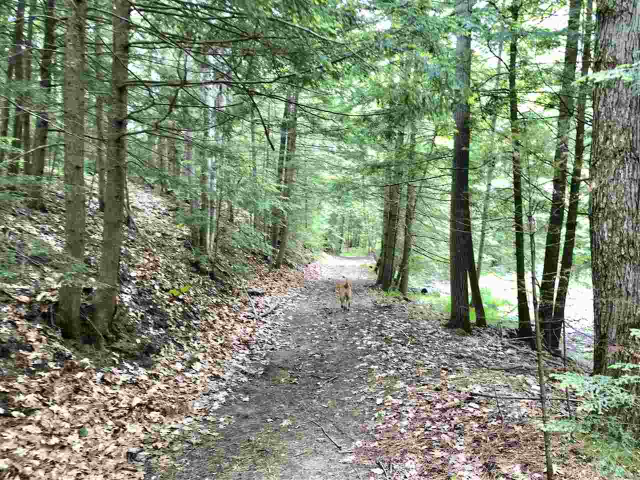 686 Lime Kiln Road Haverhill, NH 03780 - Photo 11 of 40