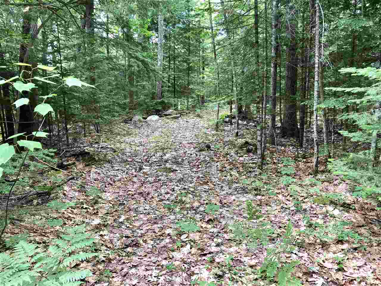 686 Lime Kiln Road Haverhill, NH 03780 - Photo 16 of 40