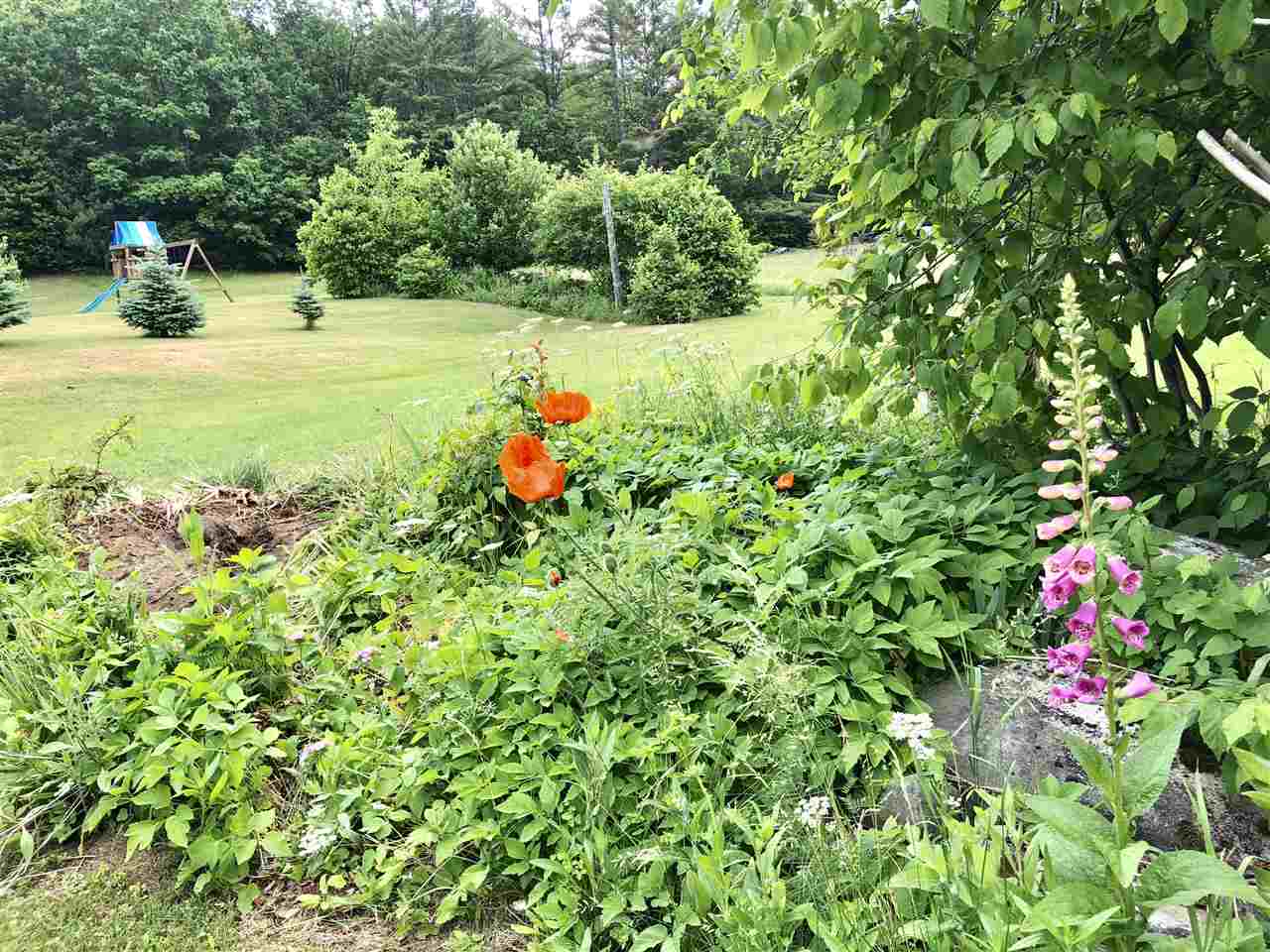 686 Lime Kiln Road Haverhill, NH 03780 - Photo 24 of 40