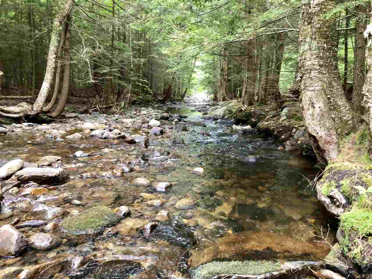 686 Lime Kiln Road Haverhill, NH 03780 - Photo 10 of 40