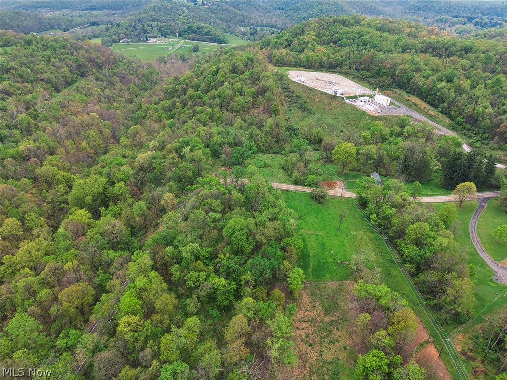 0 Bealls Ridge Wellsburg, WV 26070 - Photo 10 of 46